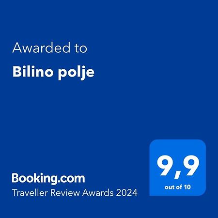 ゼニツァBilino Poljeアパートメント エクステリア 写真